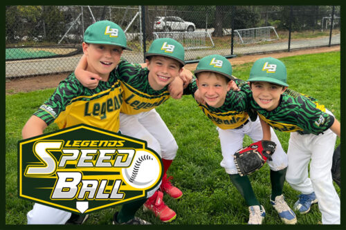 Legends Baseball SpeedBall Double Play Division